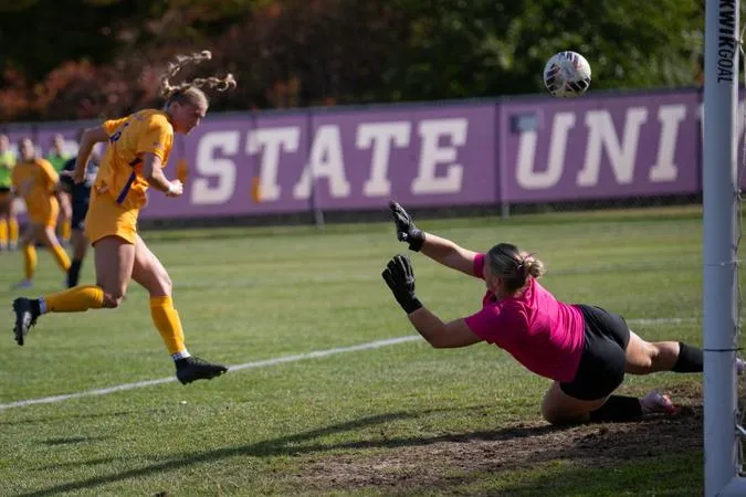 No. 7 Mavericks Bounce Back with Dominant 4-0 Win Over CSP