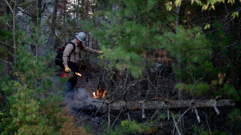 Indigenous fire practice returns to Minnesota Point