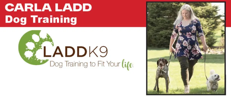 How Do I Teach My Dog to Settle While the Family is Busy?