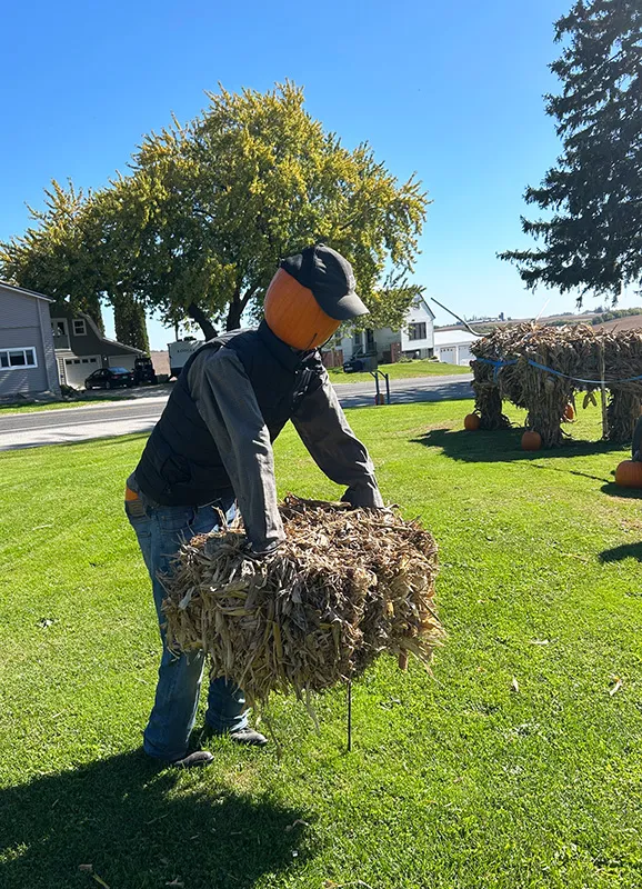 A Harvest of Creativity