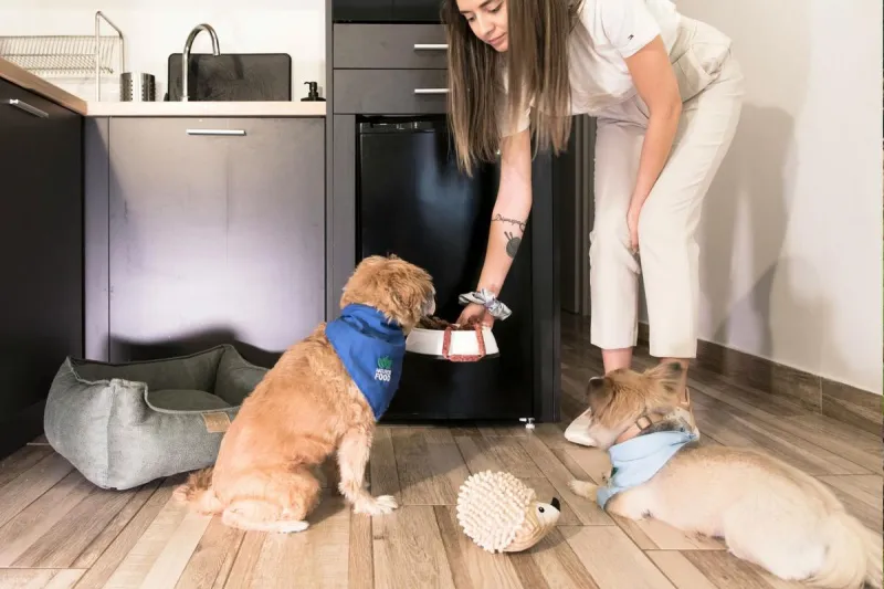 Free Pet Food And Supplies Event In St. Cloud
