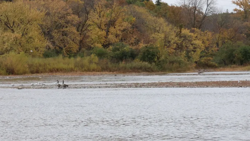 Report: PFAS are pervasive in Minnesota waterways