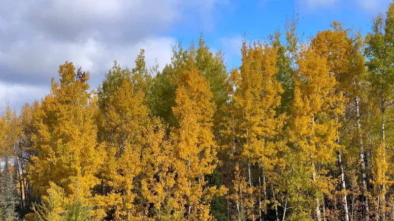 Unseasonably warm, dry weather this week