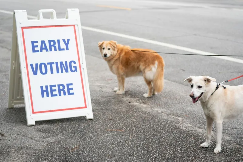 Stearns County Opens Early Voting Ahead Of November Midterm Elections