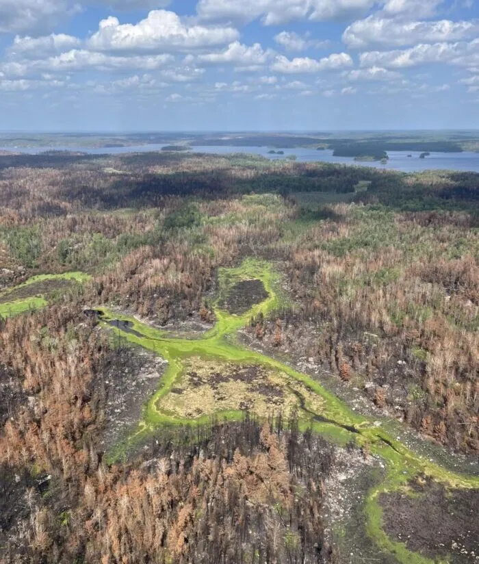 Wildfire experts urge proactive forest management as fire risks grow