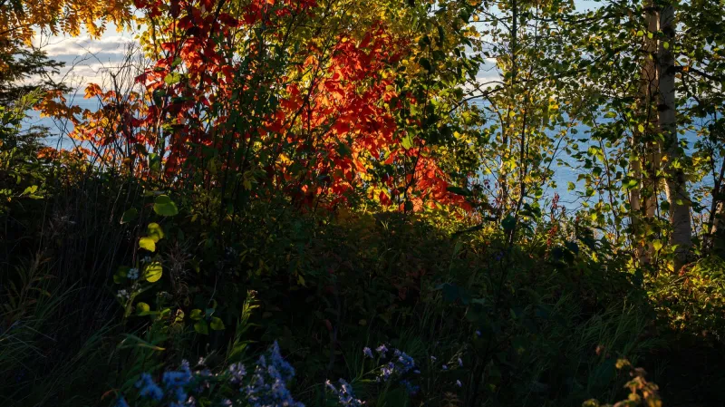 Forecast stuck on repeat: Sunshine, warmth and no rain