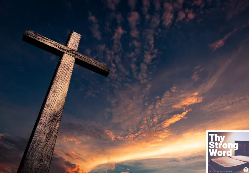 Thy Strong Word - Romans 8:1-17: No Condemnation. None.