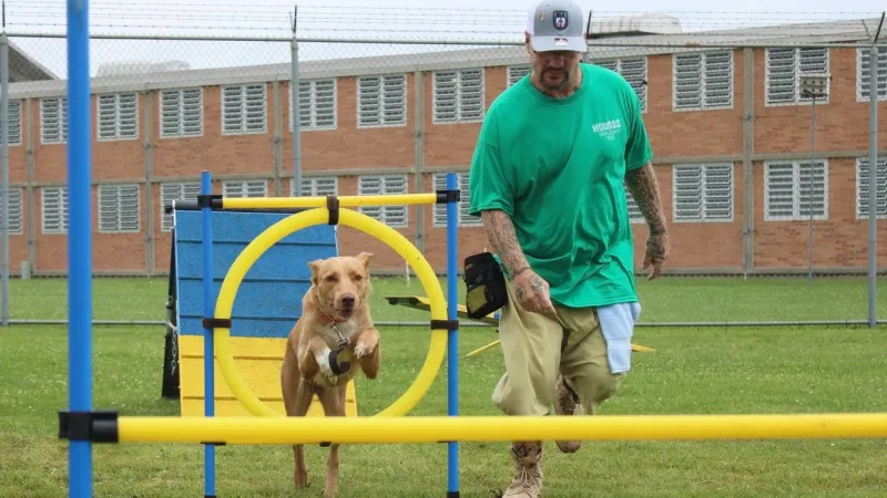 Moberly Correctional Center showcases dogs trained through Puppies for Parole program