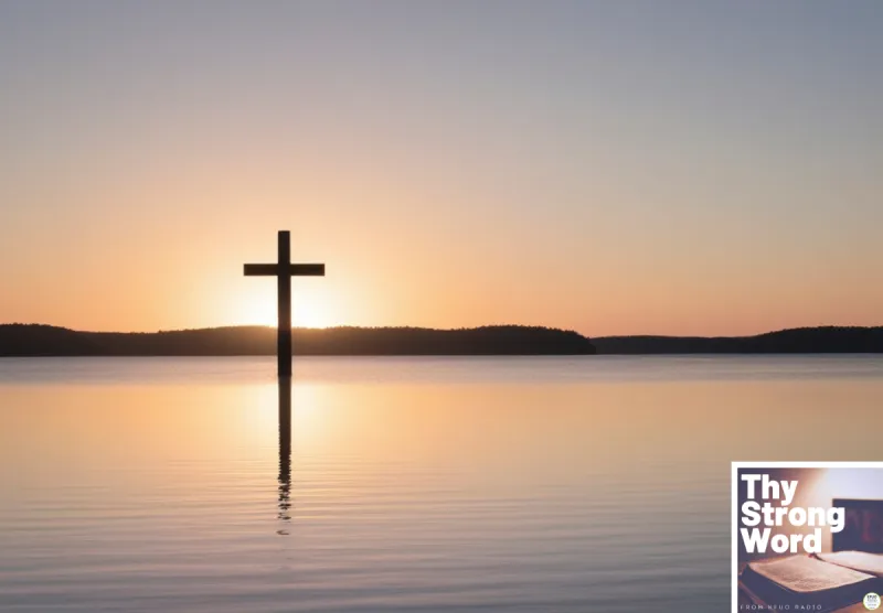 Thy Strong Word - Acts 2:22-41: Cut to the Heart