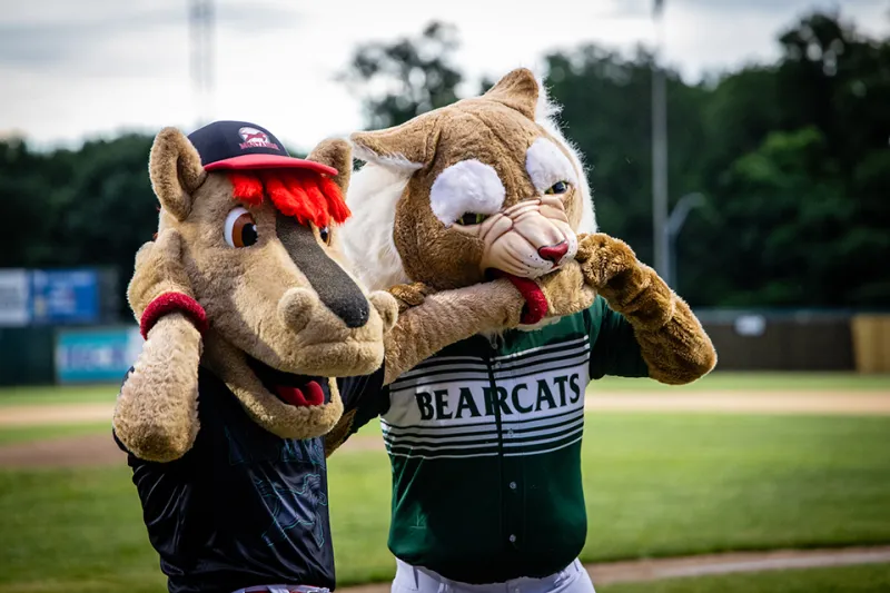 Northwest alumni, friends invited to display Bearcat pride July 11 at St. Joseph Mustangs game