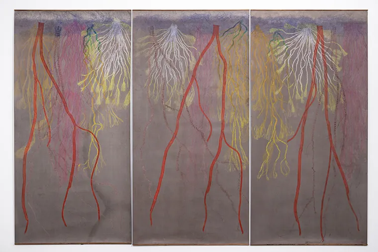 'Carolina Caycedo: Growing Deep Roots'