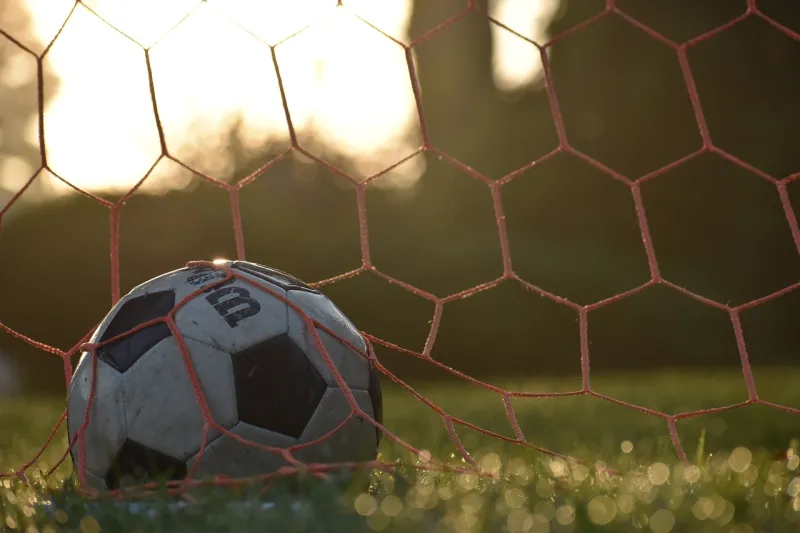 Mehlville, Oakville high schools win spring sports championship titles