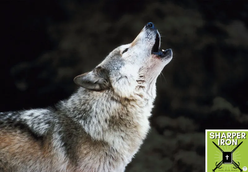 Sharper Iron - The Reign of Heaven Stands Near -- Matthew 7:15-23: Wolves in Sheep's Clothing Bear Bad Fruit