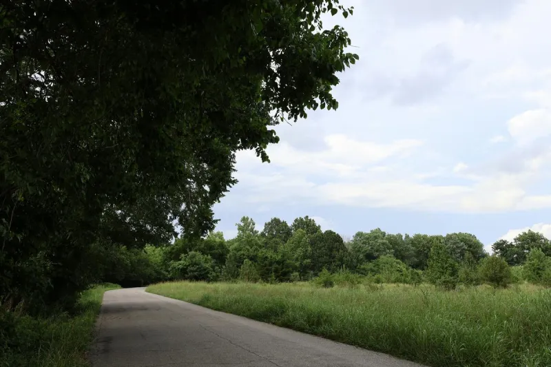 Missouri Woman Claims She Saw Massive Creature in Pike County