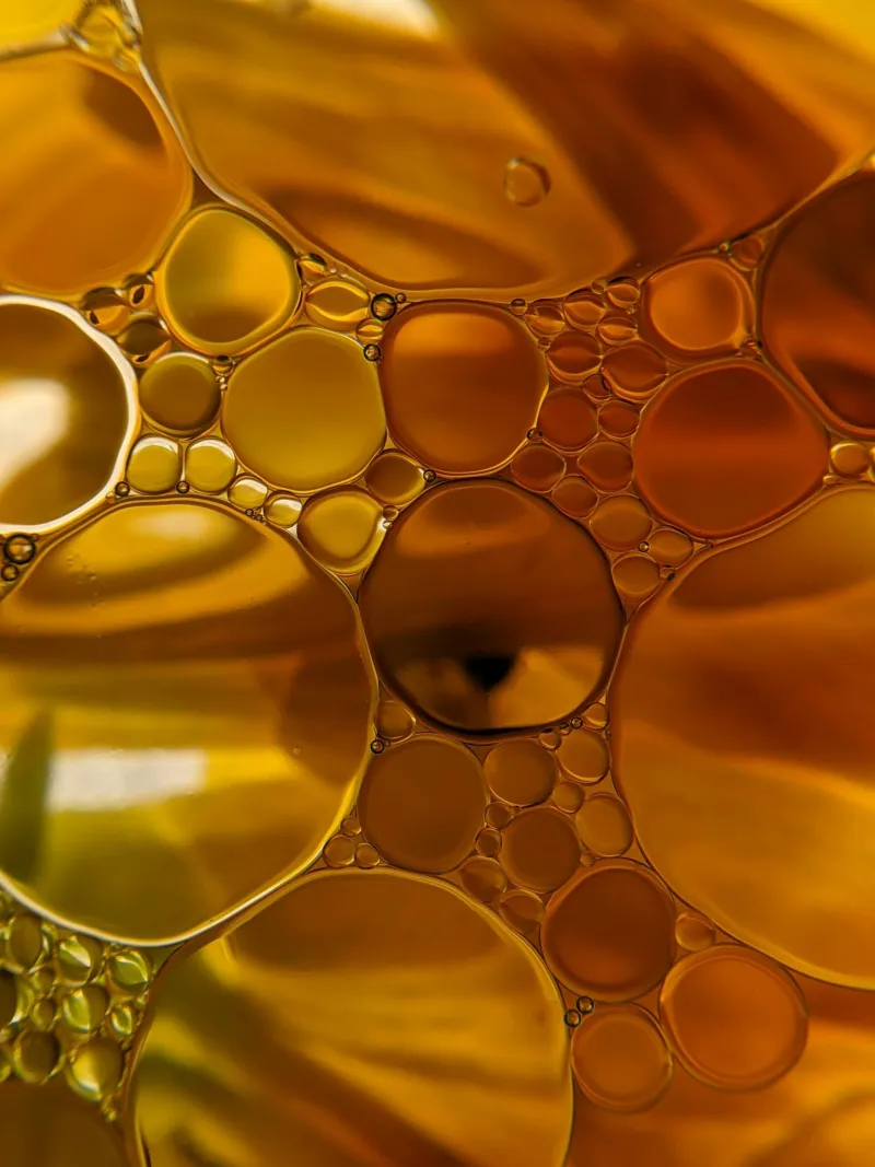Inner life of cells under investigation
