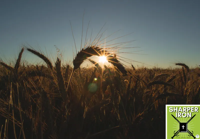 Sharper Iron - The Reign of Heaven Stands Near -- Matthew 9:35-10:4: The Hopeful Harvest