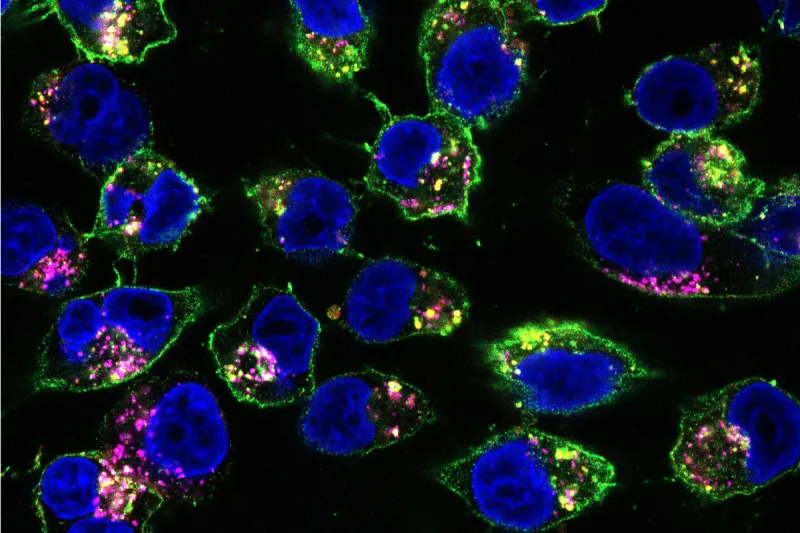 New approach to designing drugs supercharges cancer medication