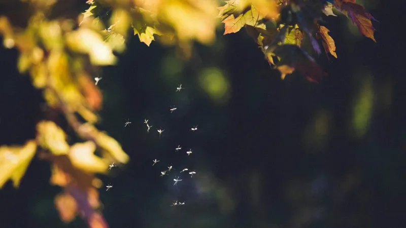 When summer bites back: The ins and outs of bug spray
