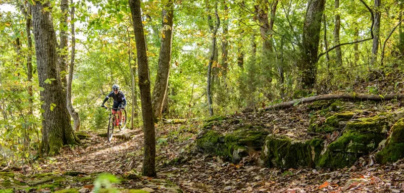 (LISTEN): Missouri's Amendment One involves parks, soils and water sales tax extension
