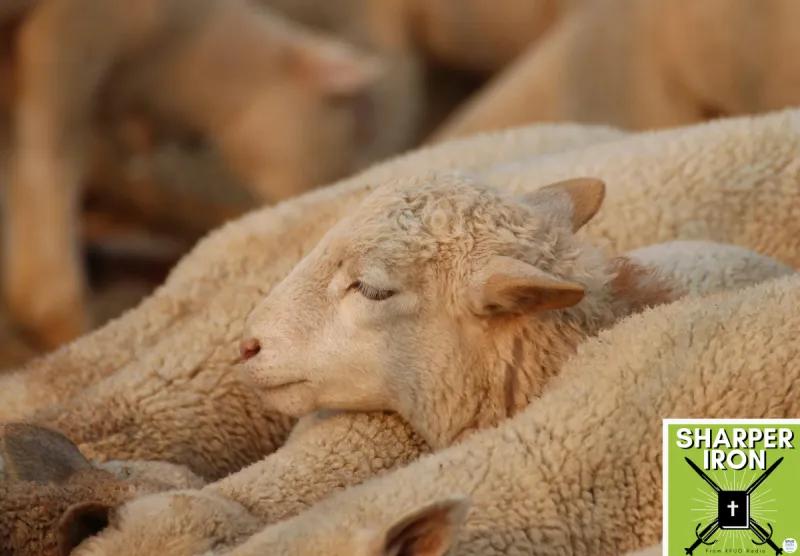 Sharper Iron - The Reign of Heaven Stands Near -- Matthew 11:16-30: A Yoke of Rest