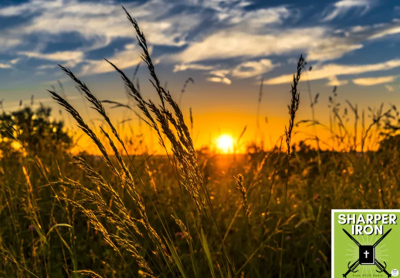 Sharper Iron - The Reign of Heaven Stands Near -- Matthew 12:1-14: Rest and Restoration on the Sabbath