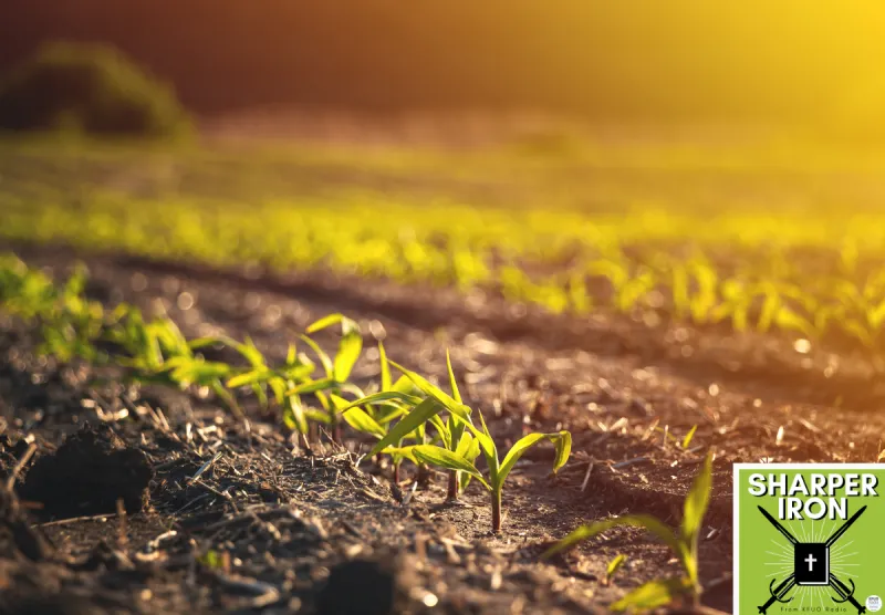 Sharper Iron - The Reign of Heaven Stands Near -- Matthew 13:1-9, 18-23: The Parable of the Sower