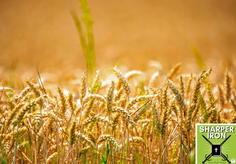 Sharper Iron - The Reign of Heaven Stands Near -- Matthew 13:24-30, 36-43: The Parable of the Weeds