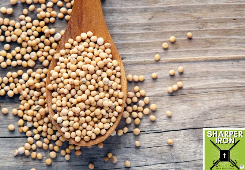 Sharper Iron - The Reign of Heaven Stands Near -- Matthew 13:31-35: The Mustard Seed Leavens the Whole Lump