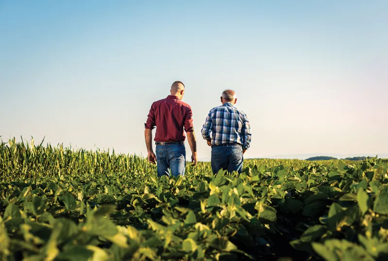 Should the Family Farm Stay in the Family?