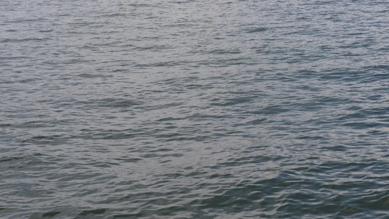 More than 10 people rescued from sinking boat in Randolph County