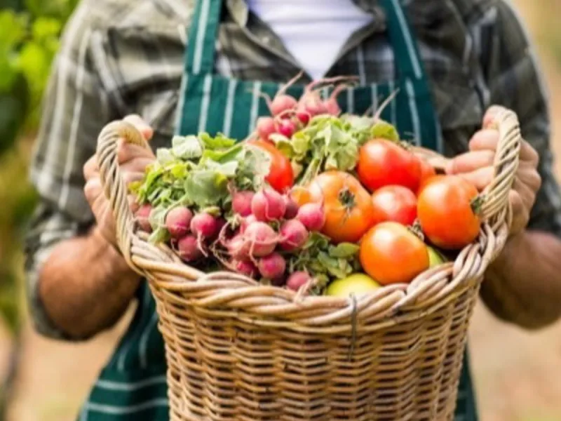 Governor Kelly proclaims August as Kansas Farmers' Market Month