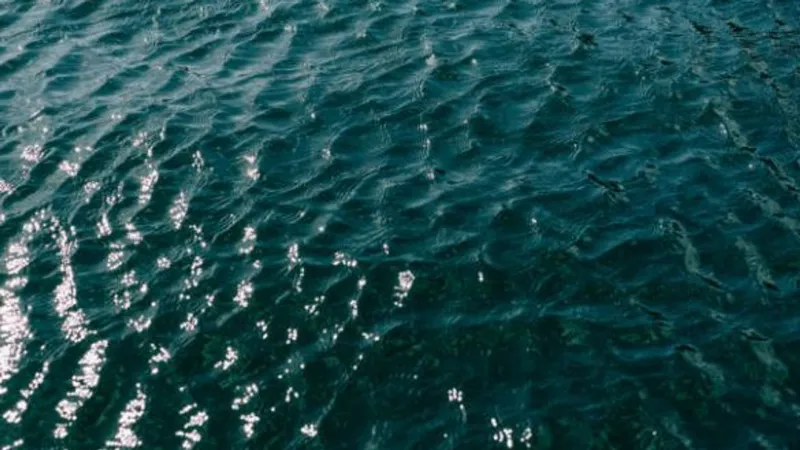 One state park beach closed due to E. coli levels
