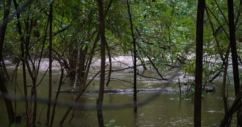 Record-breaking rain causes widespread flooding in Columbia