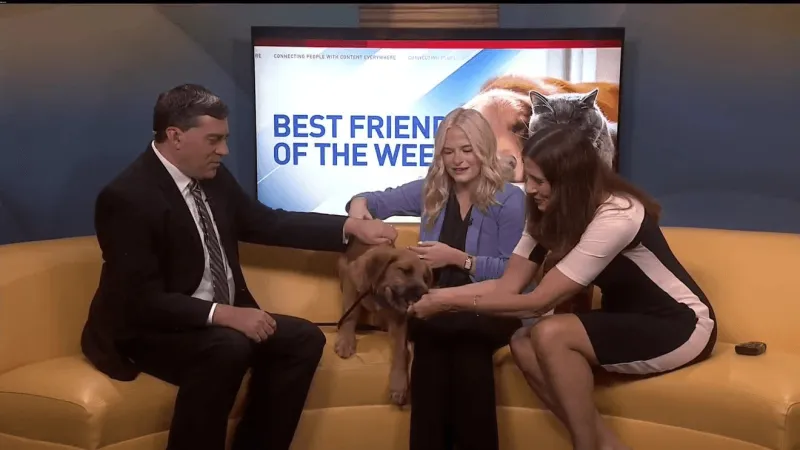 Best Friend of the Week: Meet Barron