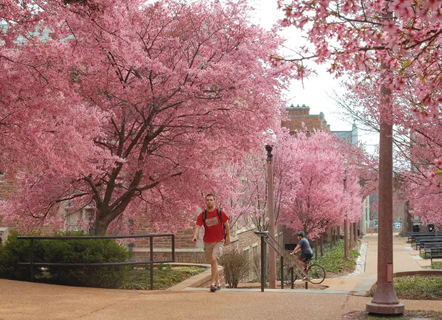 WashU Arboretum welcomes its inaugural class of docents