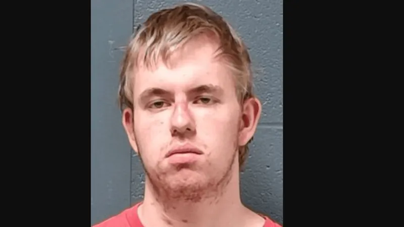 New Bloomfield teen charged in alleged sex abuse of child under 12