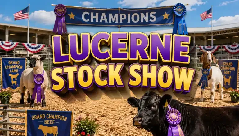 Winners announced from Friday's annual Lucerne Stock Show