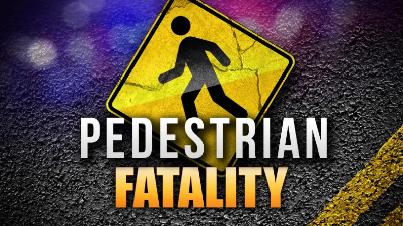 Mount Vernon man hit, killed by van on I-44
