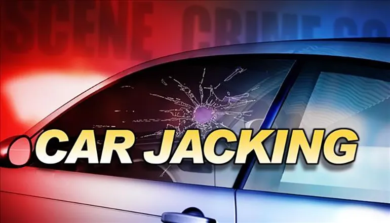 Venice man gets 154 months for St. Louis carjacking and shooting