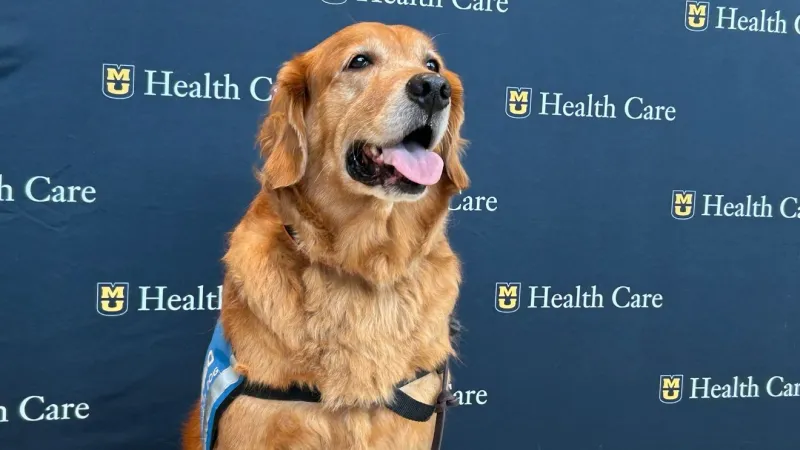 Retirement party held for service dog at MU Health Care Children's Hospital