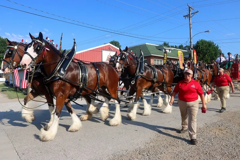 2026 'Show Me Stars & Stripes' Mo State Fair Under Way