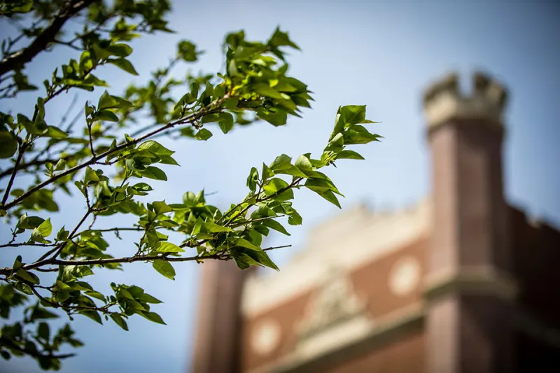McLain, registrar team honored for excellence in academic affairs