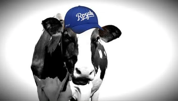 Missouri & Kansas Ranchers Push Back Against MAGA Beef Imports