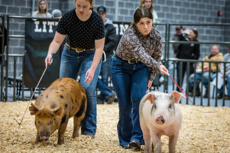 Blog: Top Animal Science Careers for Northwest Missouri State Graduates