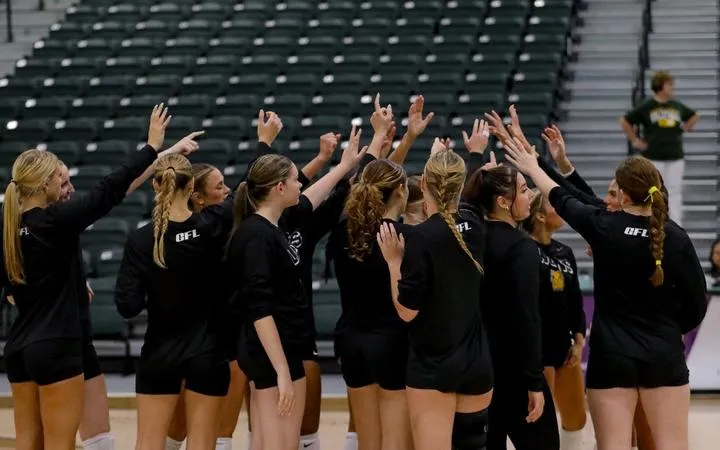 Lions Fall to Southeastern Oklahoma in Four Sets