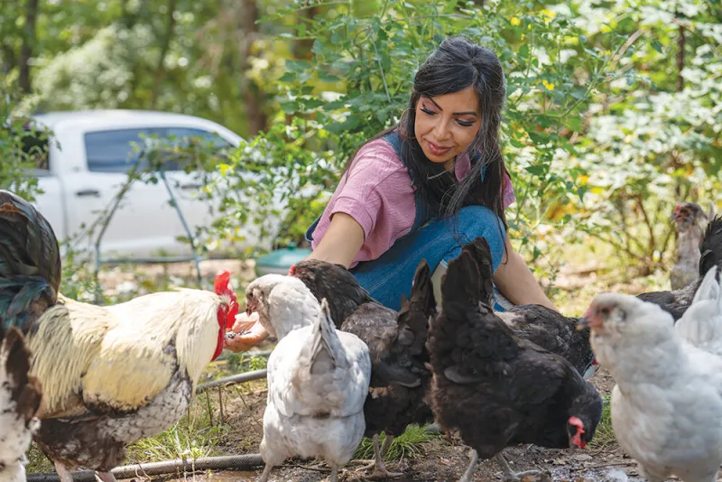 Making a Marketplace: EggDrop connects local food producers with customers