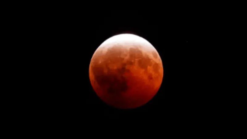 GALLERY: mid-Missourians capture the lunar eclipse