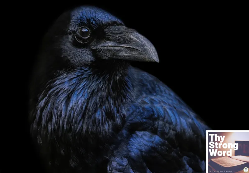 Thy Strong Word - Song of Solomon 5:1-16: Hair, Black as a Raven