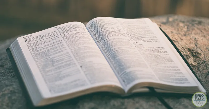 St. Paul's Des Peres Bible Study - Acts 27:9-28:31