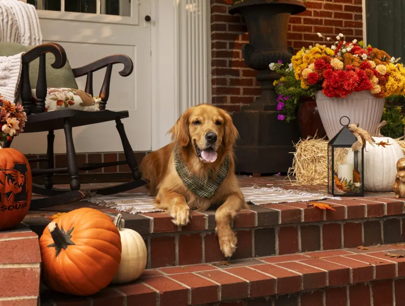 5 Tips to Style Your Front Porch for the Fall